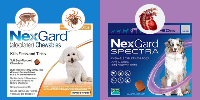 heartworm with flea and tick