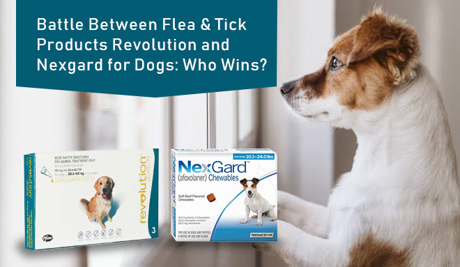 Revolution VS Nexgard for Dogs 