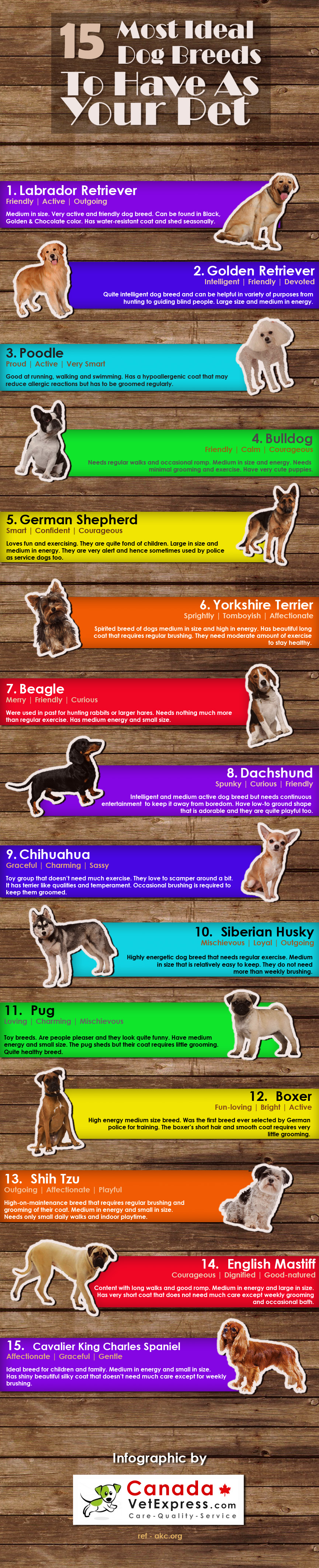 15 Great Dog Breeds to Have as a Pet Infographic