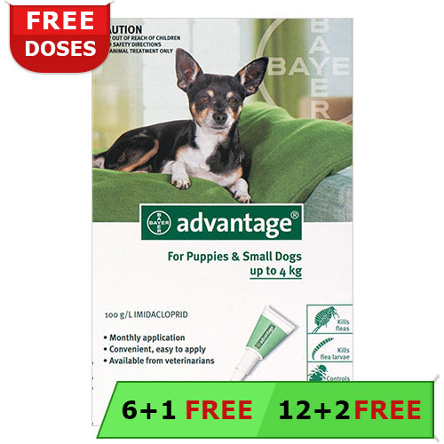 Buy Advantage for Dogs, Advantage for Dogs, Advantage Flea Control, Advantage Flea Treatment, Advantage Flea for Dogs