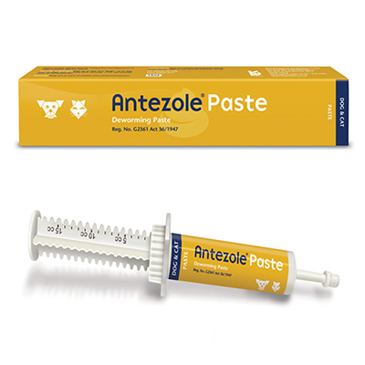 Antezole Paste for Dogs, Buy Antezole Deworming Paste, Antezole Paste 15ML, Buy Antezole Paste for Dogs