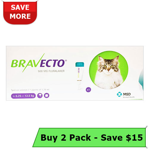 Bravecto Spot On for Cats, Bravecto for Cats, Bravecto Spot on, Buy Bravecto for Cats, Bravecto Flea and Tick Preventative, Bravecto For Cats Online