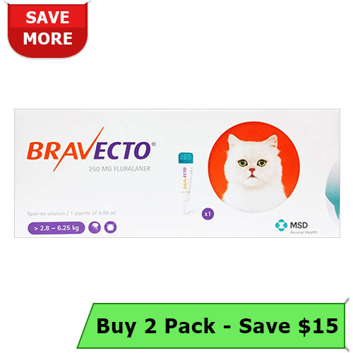 Bravecto Spot On for Cats, Bravecto for Cats, Bravecto Spot on, Buy Bravecto for Cats, Bravecto Flea and Tick Preventative, Bravecto For Cats Online