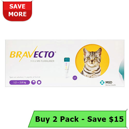 Bravecto Spot On for Cats, Bravecto for Cats, Bravecto Spot on, Buy Bravecto for Cats, Bravecto Flea and Tick Preventative, Bravecto For Cats Online