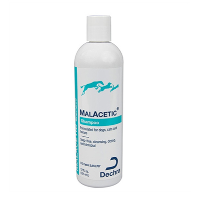 MalAcetic Shampoo, MalAcetic Shampoo for Dogs/Cats, Malacetic Shampoo for Dog and Cat, Buy Malacetic Shampoo