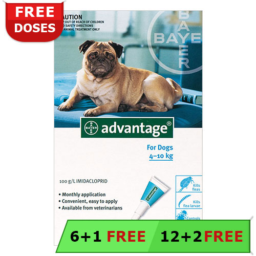 Buy Advantage for Dogs, Advantage for Dogs, Advantage Flea Control, Advantage Flea Treatment, Advantage Flea for Dogs