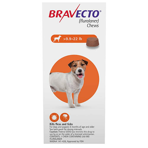 Bravecto for Dogs, Buy Bravecto for Dogs, Bravecto Chew Flea & Tick, Bravecto Flea & Tick Treatment, Bravecto Flea & Tick Chewable, 3 month flea pill, buy bravecto online