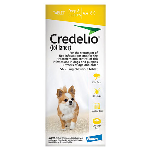Credelio for dogs, buy Credelio, Credelio dosage , Chewable tick control for dogs, Credelio reviews, Credelio price, Credelio dog, Credelio for sarcoptic mange