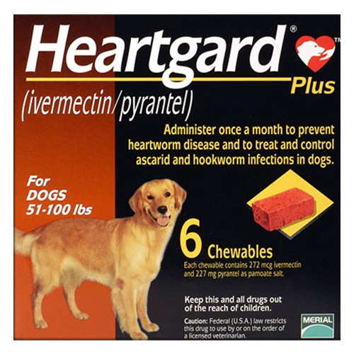 Heartgard Plus for Dogs, Buy Heartgard Plus for Dogs, Heartgard Plus for Dogs Online, Heartgard Heartworm Prevention for Dogs, heart guard dogs, heartworm heartgard plus, heartgard plus online