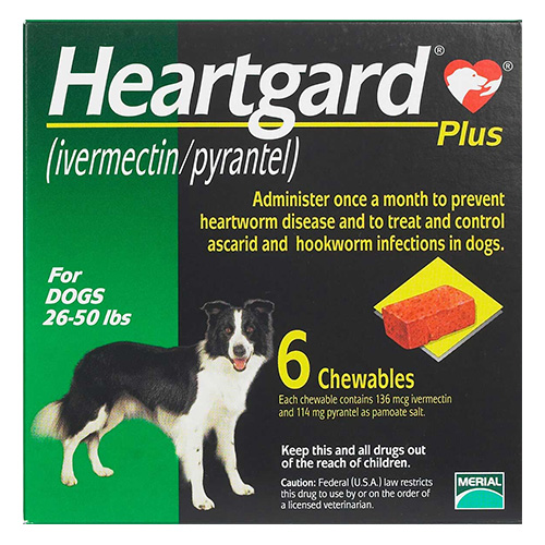 Heartgard Plus for Dogs, Buy Heartgard Plus for Dogs, Heartgard Plus for Dogs Online, Heartgard Heartworm Prevention for Dogs, heart guard dogs, heartworm heartgard plus, heartgard plus online