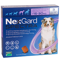 Nexgard Spectra, Buy Nexgard Spectra for Dogs, NexGard Spectra Chewable Tablets for Dogs, Buy NexGard Spectra Chewable Tablets