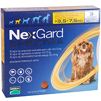 Nexgard Spectra, Buy Nexgard Spectra for Dogs, NexGard Spectra Chewable Tablets for Dogs, Buy NexGard Spectra Chewable Tablets