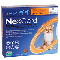 Nexgard Spectra, Buy Nexgard Spectra for Dogs, NexGard Spectra Chewable Tablets for Dogs, Buy NexGard Spectra Chewable Tablets