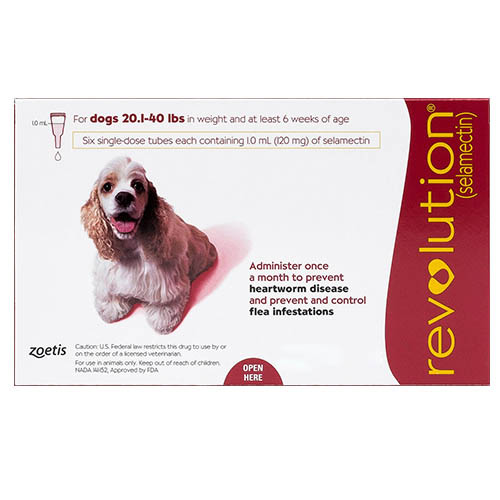 revolution, revolution for dogs, heartworm revolution, heartworm prevention for dogs