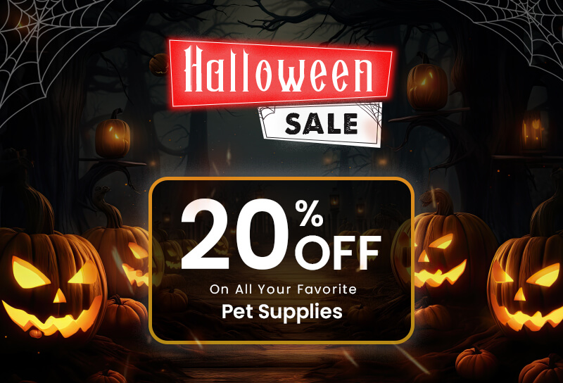 halloween day sale