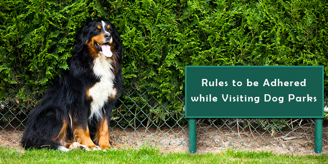 Rules to be Adhered while Visiting Dog Parks