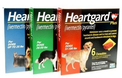 Heartgard Plus - Dog Heartworm