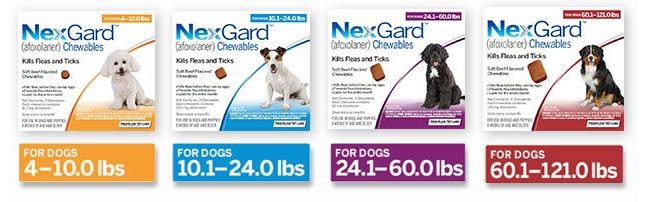 Nexgard for dogs