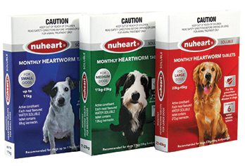 are heartworm meds necessary for dogs