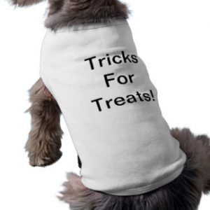 tricks_for_treats_sleeveless_dog_shirt-r4f554f060a044a46ae84e7c471d647df_v9i79_8byvr_324