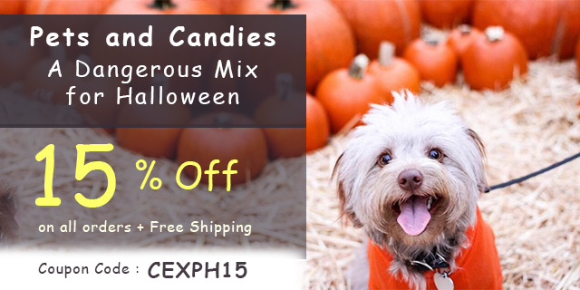 candies mix of halloween is dangerous for pets