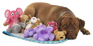 Dog Toys For Indoor Playing