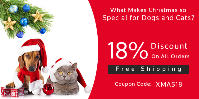 Christmas Special for Dogs and Cats