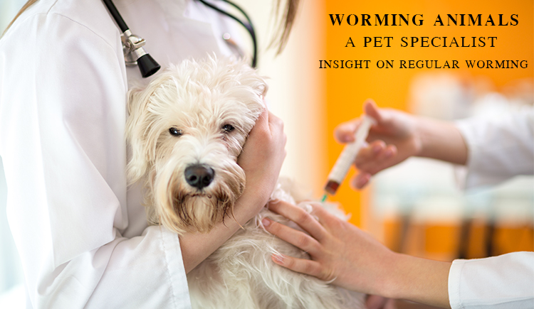 deworming treatment for pets