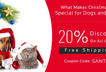 Christmas sale