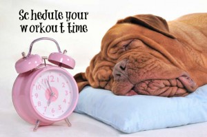 schedule doggy's workout time