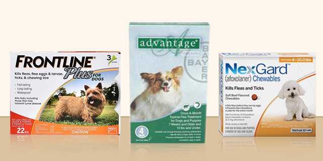 Which Product Is Excellent For Eliminating Fleas From Pets