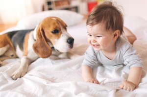 Pets Are Good For The Overall Health Of The Kids