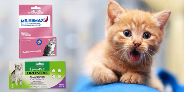 Hear worm prevention in cats
