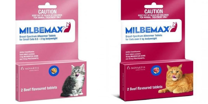 A Guide To Feline’s HealthWorms Prevention CanadaVetExpress Pet