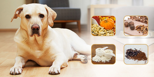 home remedies for deworming pets