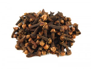 Cloves for dogs and cats