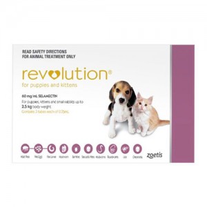 Revolutioin for cats