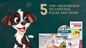 Top-Treatments-to-Control-Fleas