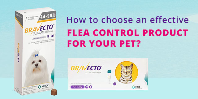 best-fleas-and-ticks-treatment-for-dogs