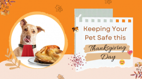 Thanksgiving-Day-Sale-2021