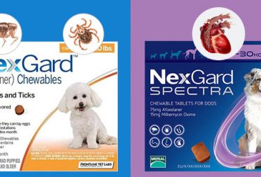Nexgard-Sepectra-and-Nexgard