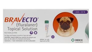 Bravecto-Topical-Solution-for-Dogs
