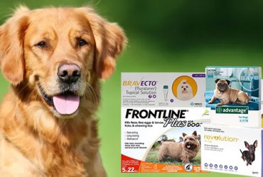 best-spot-on-treatment-for-fleas-and-ticks