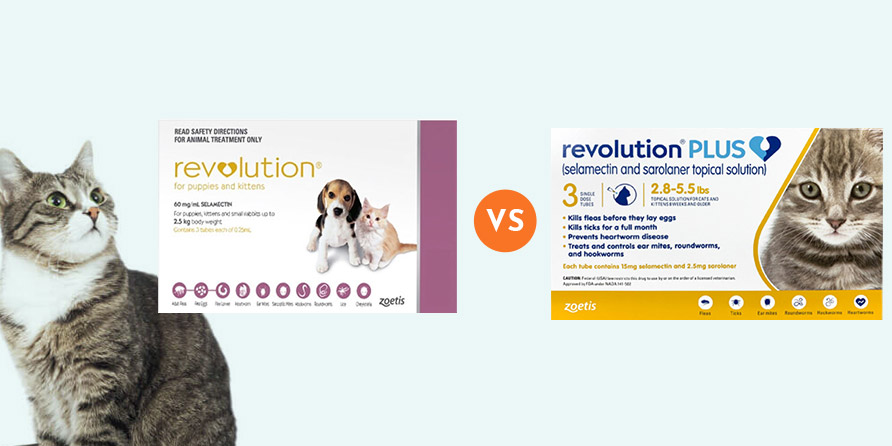 Revolution vs Revolution Plus: Which Is The Better Product? -  CanadaVetExpress - Pet Care Tips