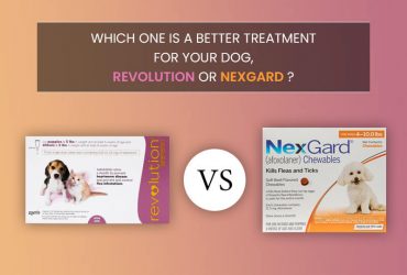 Revolution-or-Nexgard