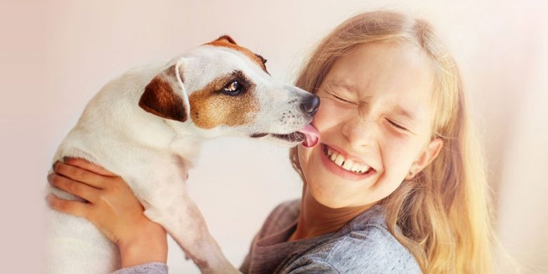 Why do dogs lick you? | Interesting Reasons You Should Know!
