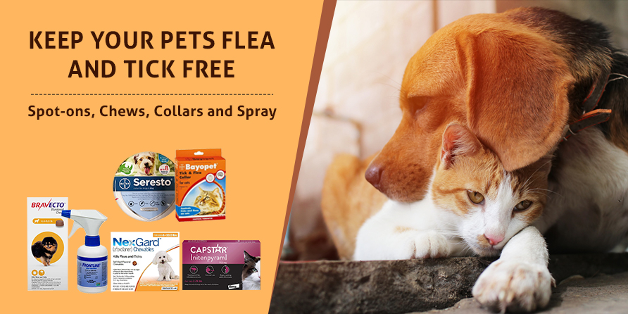 Keep Your Pets Flea And Tick Free 