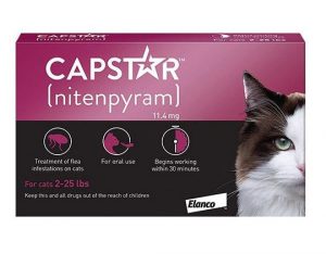 Capstar for Cats