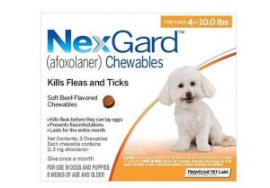 Nexgard For Dogs