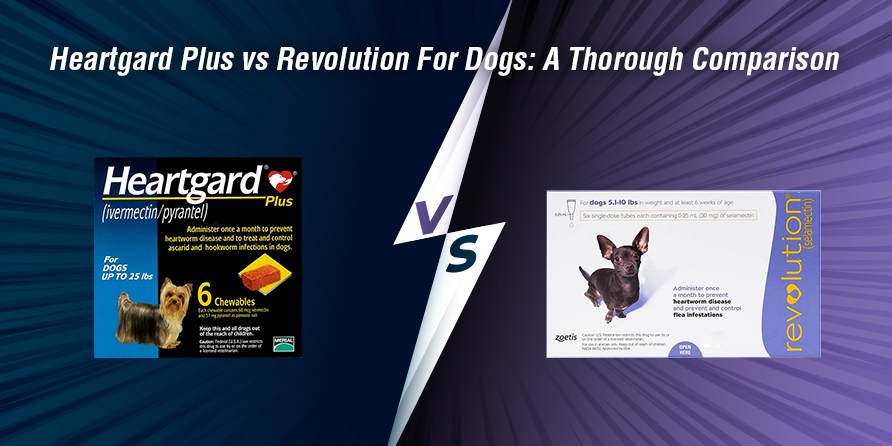 Heartgard Plus vs Revolution For Dogs